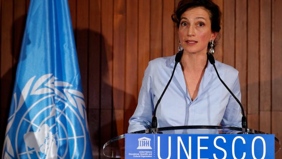 Read more about the article Message from Director-General of UNESCO, on the occasion of World Day for Cultural Diversity