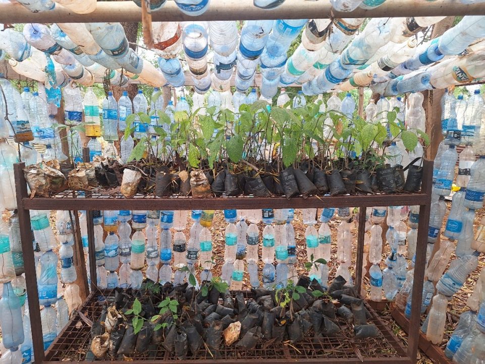 Tree nursery made using recycled plastic bottles – Towards Greening agenda